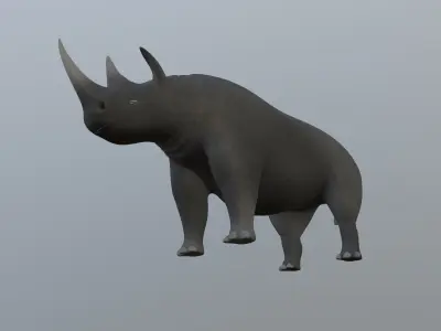 Rhinoceros 3D model