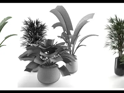 decoration flower01 Low-poly 3D model