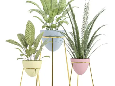 indoor plant set 055 Low-poly 3D model