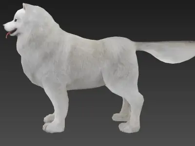 Samoyed  dog Low-poly 3D model