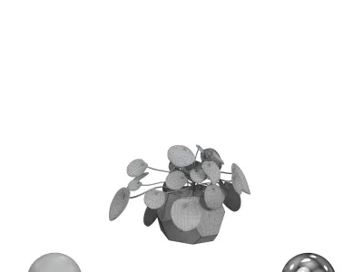 The Monet plant 3D model