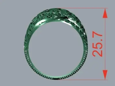 rings 3D print model 9