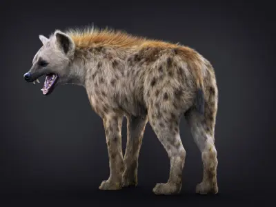 Hyena Static  Xgen core 3D model