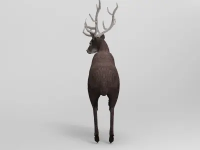 3D deer rigged animated black Low-poly 3D model