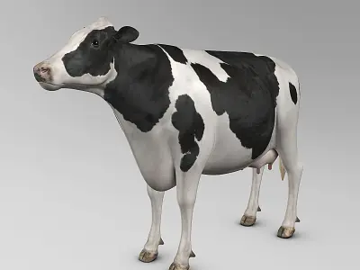 Cow Holstein 3D model