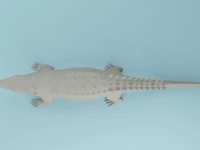 Crocodile Mugger 3d model 3D model