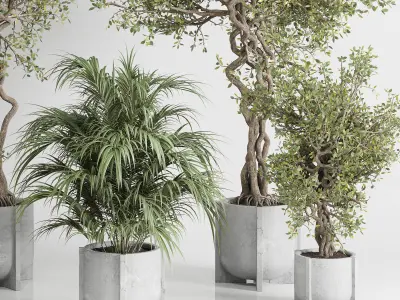 outdoor plant set 185 pot plant tree palm concrete dirt vase Low-poly 3D model