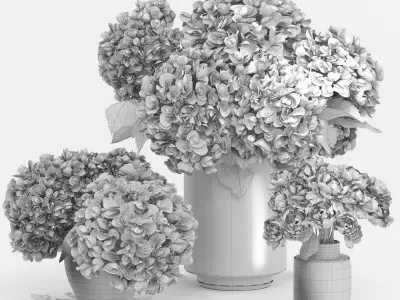 Hydrangea and peony Bouquet Flower plant Vase decorative set 3D model