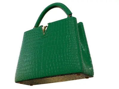Louis Vuitton bag Capucines Green Crocodile Leather 3D model