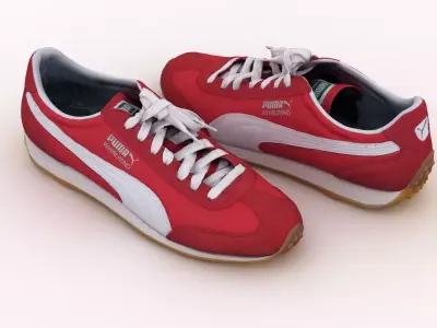 Puma Whirlwind Shoes 3D model