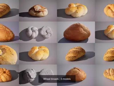 Wheat breads 3D Model Collection