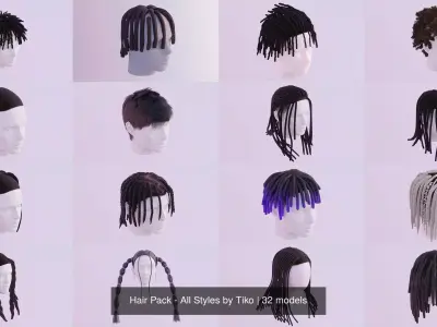 Hair Pack - All Styles by Tiko 3D Model Collection