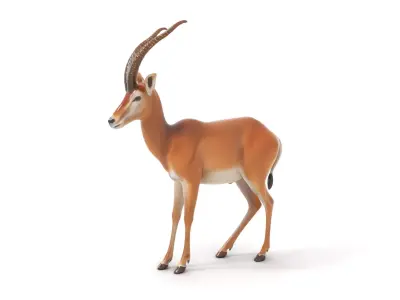 Elegant Gazelle model pack Low-poly 3D model