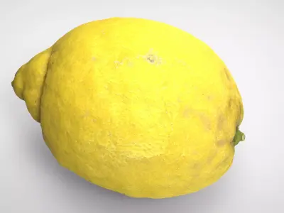 REALISTIC LEMON Low-poly 3D model
