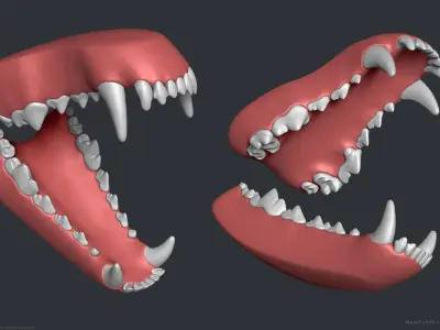 Wolf Dog Teeth Set 3D model