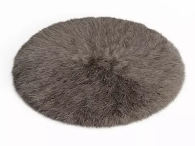 Round Rug Fur 3D model