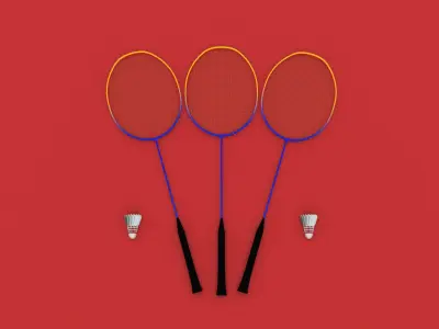 Badminton court Racket and shuttlecock Low-poly 3D model