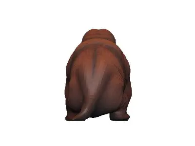 Walrus Low-poly 3D model
