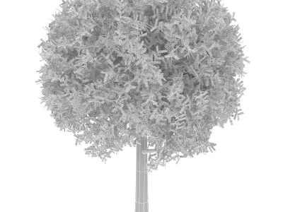 Spherical tree 3D model