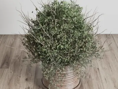 Olive branch in an old earthenware vase Buoquet 33  Low-poly 3D model