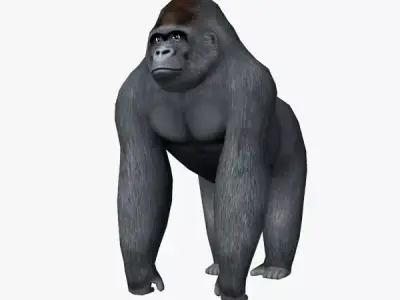 Gorilla Low-poly 3D model shop