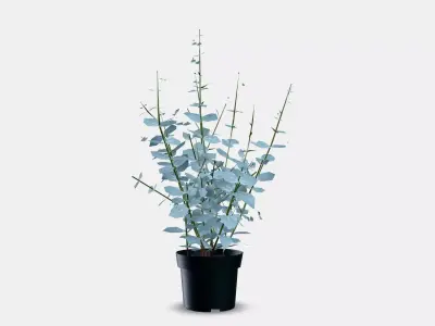 FEJKA Artificial potted plant 5 3D model