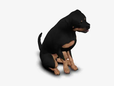 Dog Rottweiller Low-poly 3D model
