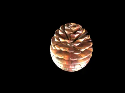 Fir Cone 3D model