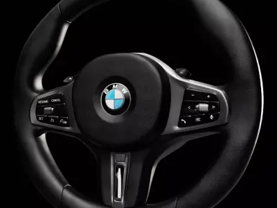 BM8 Steering Wheel  3D model