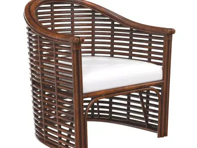 Knox Rattan Accent Arm Chair 3D model