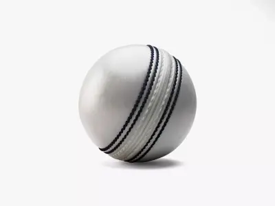 Cricket Ball White 3D model