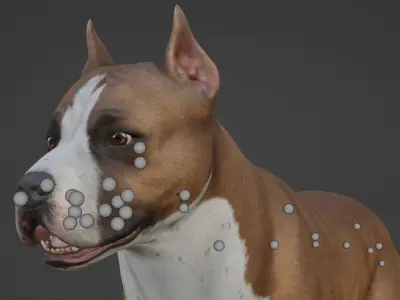 DOG - PITBULL Low-poly 3D model