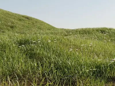 Grass Landscape 3d Model For Free Free low-poly 3D model