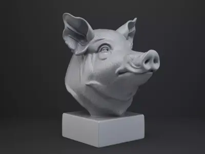 Pig Bust - Animal Figurine 3D print model