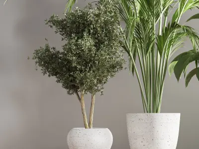 indoorplantstand26 palm tree in pot 3D model