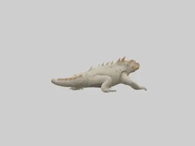 Horned Lizard resting model Low-poly 3D model