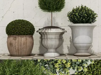 Plant four potted plants on shelf 3D model