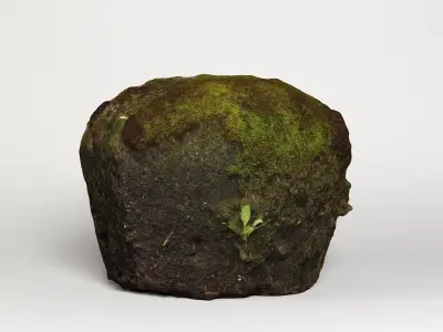 Mossy rock 3D model
