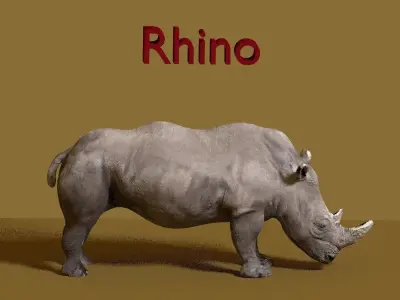 rhino 3D model 4