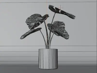 Monstera Plant 3D model
