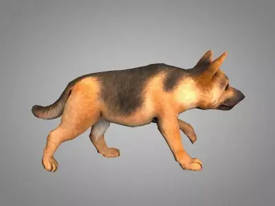 Shepherd german Low-poly 3D model