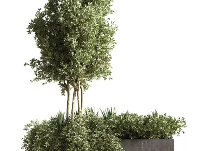 outdoor plant set 08 3D model