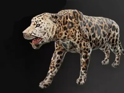 LION CAT LEOPAR BLACK WOLF  ANIMAL PACK 3D model