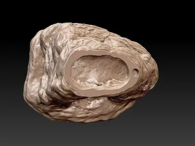 Set for decorating a terrarium aquarium 3D print model