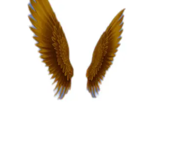 Golden Angel Wings 3D Model for Printing and Rendering 3D print model