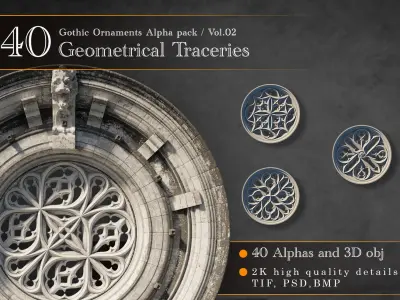 Gothic Ornaments VOL02 40 Geometrical Tracery 3D model