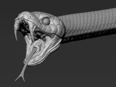 Snake highpoly head 3D model