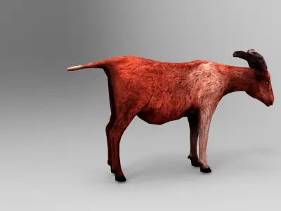 3D Red Goat low poly Model  Low-poly 3D model