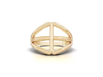 Minimal Abstract Ring 27 3D print model