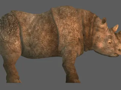 RHINO 3D RIG MODEL WITH TEXTURES 3D model
